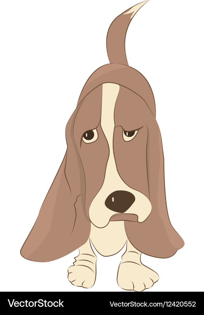 basset hound apparel