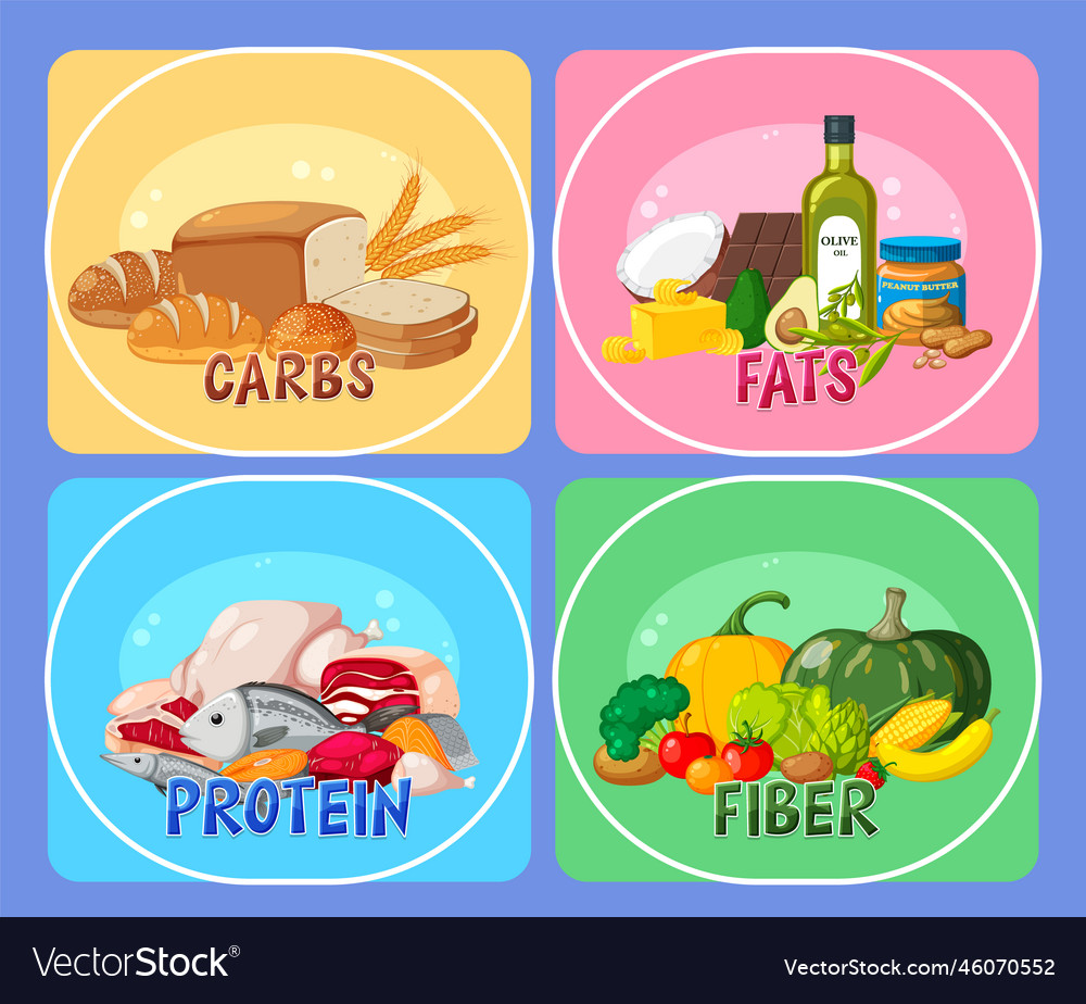 Four Main Food Groups Royalty Free Vector Image
