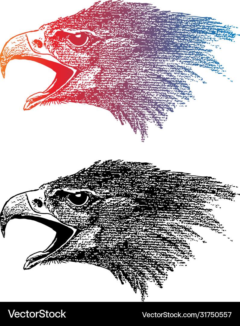 Eagle head Royalty Free Vector Image - VectorStock