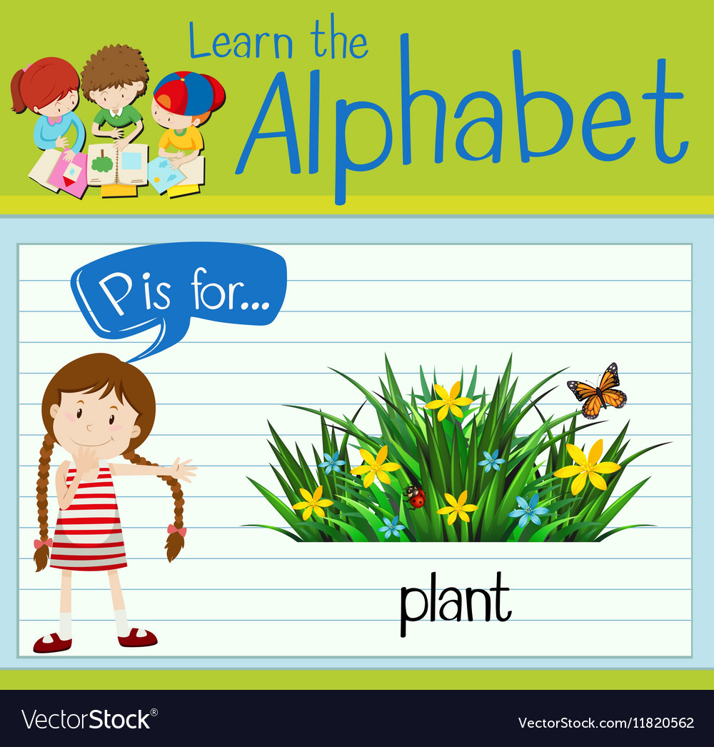 Flashcard letter p is for plant Royalty Free Vector Image