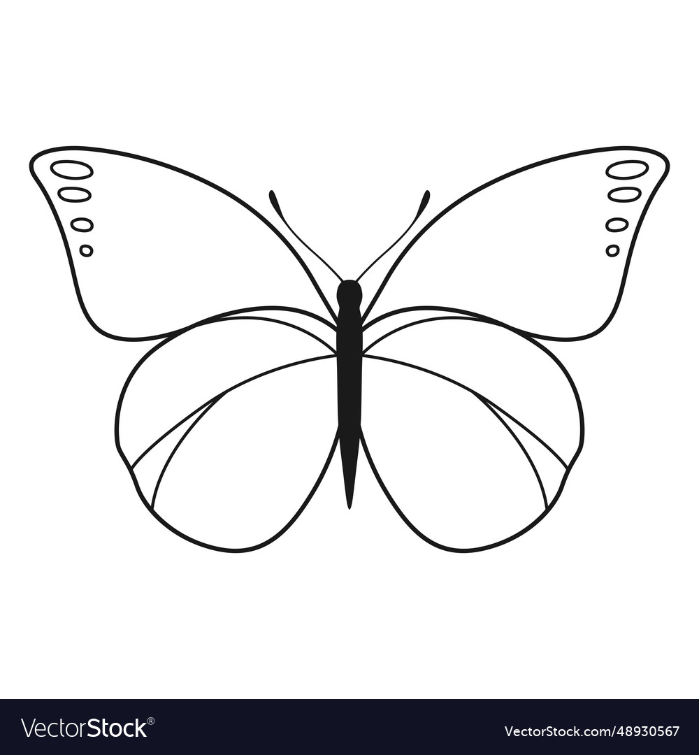 Butterfly black silhouette isolated Royalty Free Vector