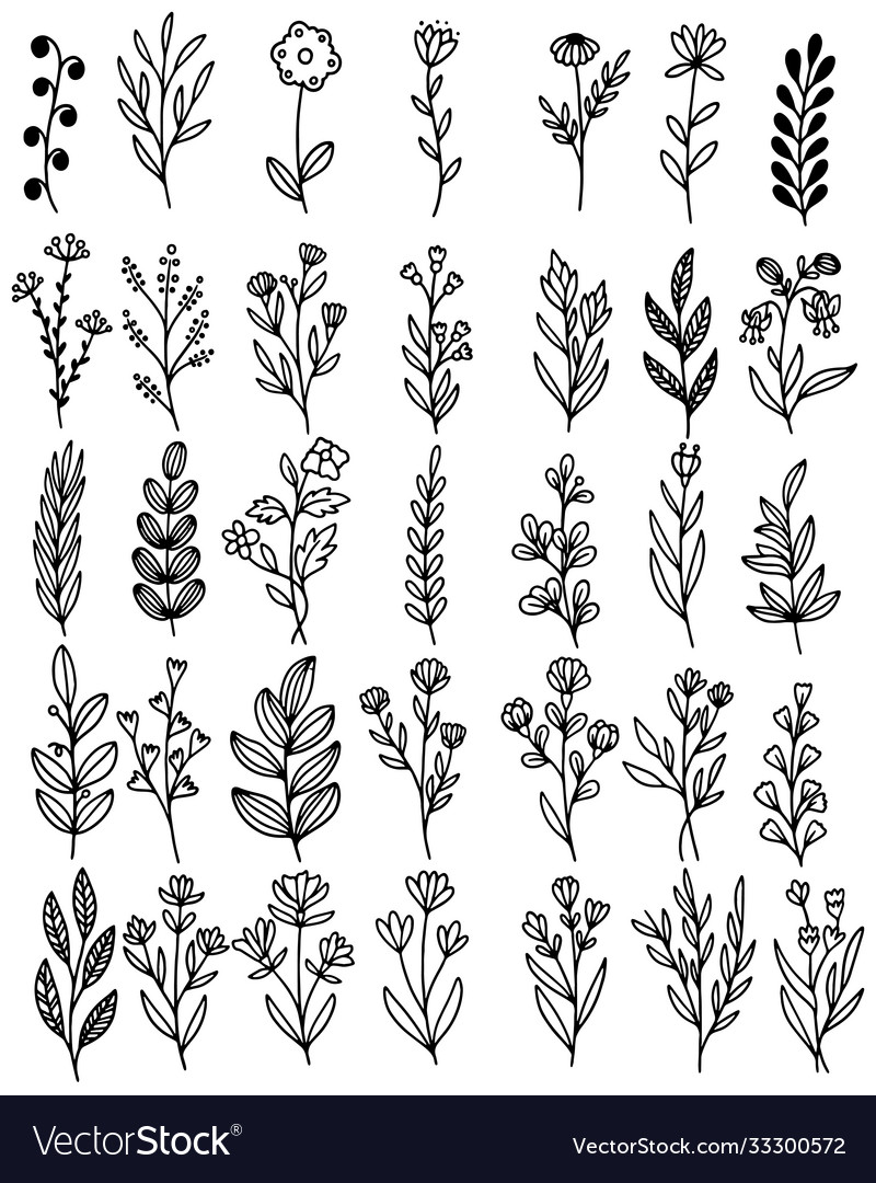 0130 hand drawn flowers doodle Royalty Free Vector Image