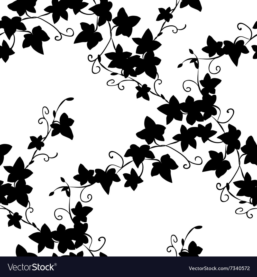 Black doodle ivy leaves seamless pattern Vector Image