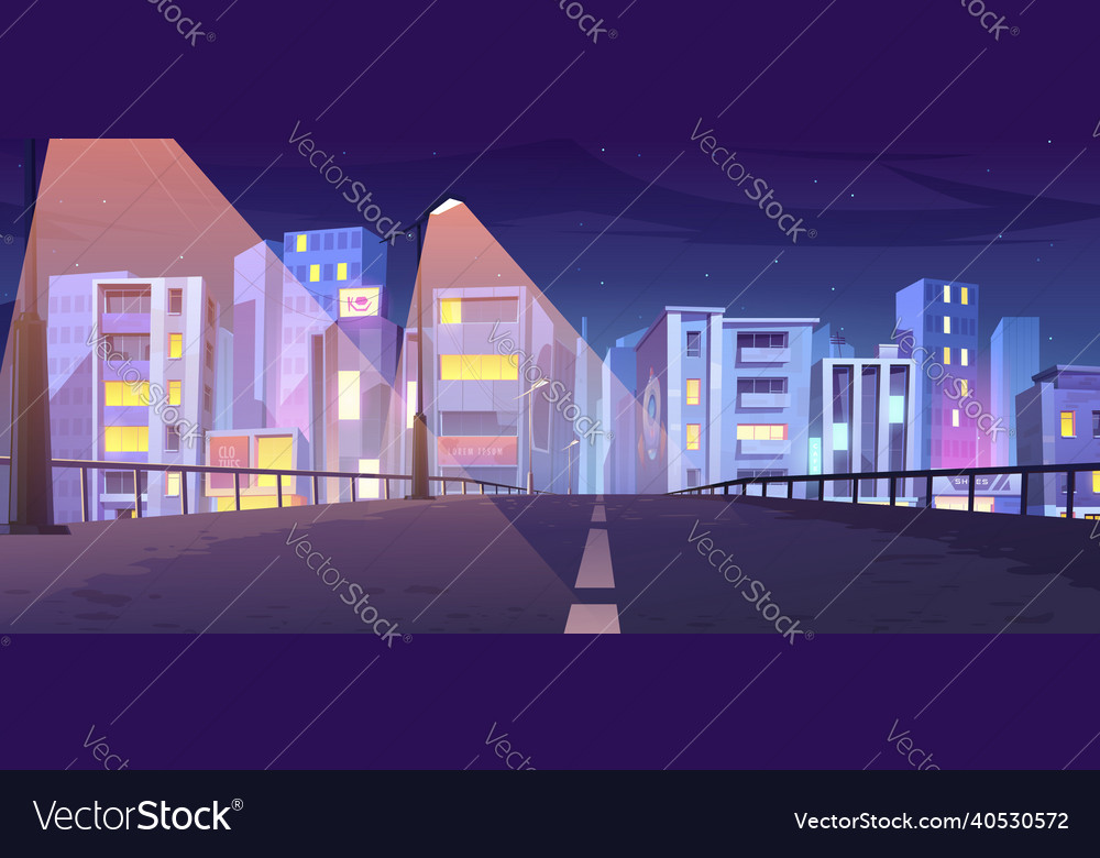 Road to city with buildings and houses at night Vector Image