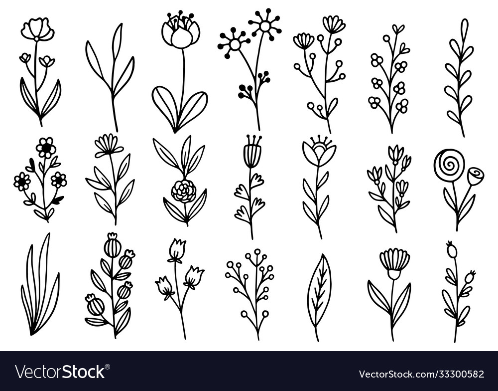 0142 hand drawn flowers doodle Royalty Free Vector Image