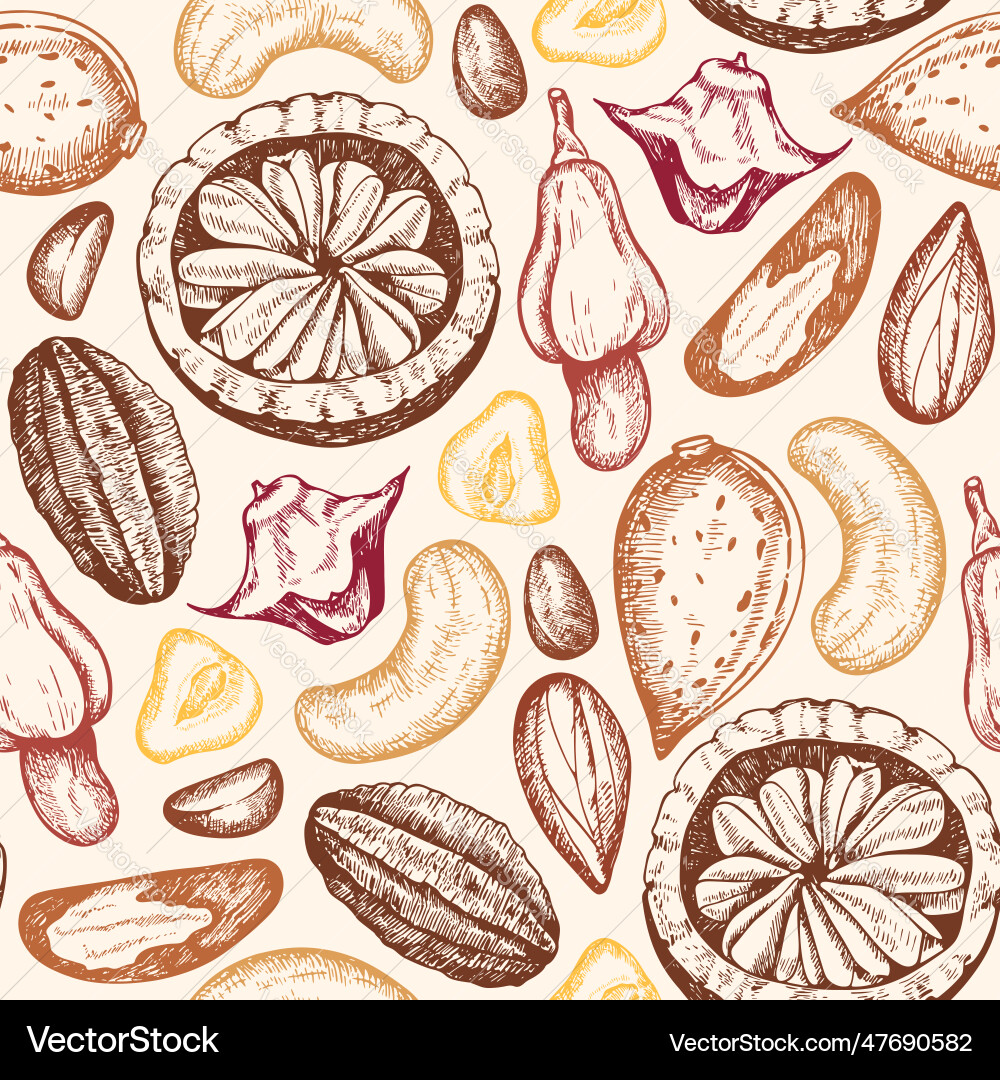 Pattern with cashew almond and brazilian nuts Vector Image