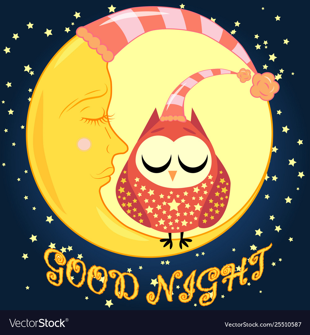 Good night card with sleeping moon and cute owl Vector Image