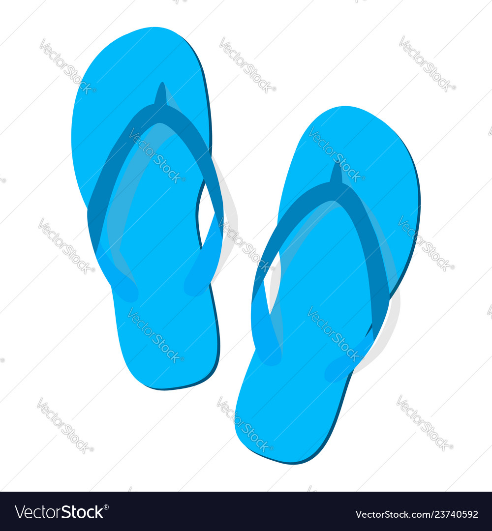 Blue summer flip flops Royalty Free Vector Image