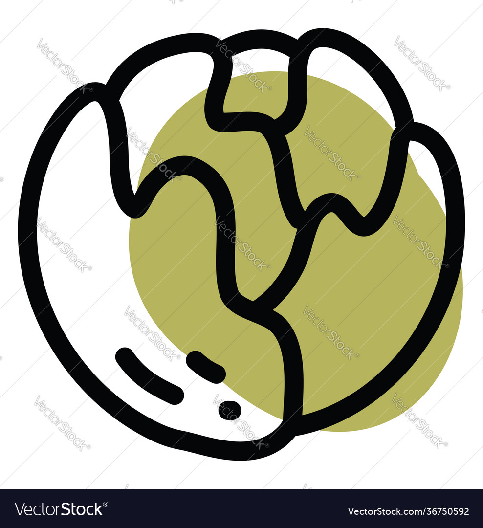 Green Cabbage On A White Background Royalty Free Vector Green Cabbage On A White Background Royalty Free Vector