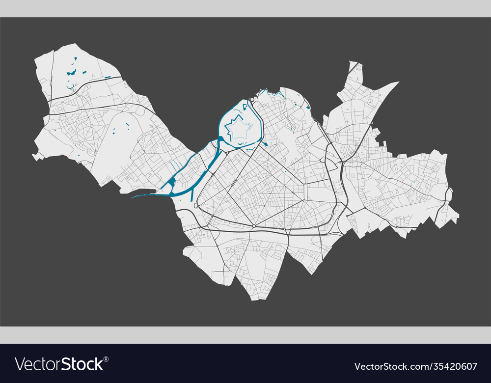 Detailed map lille city cityscape royalty free Vector Image