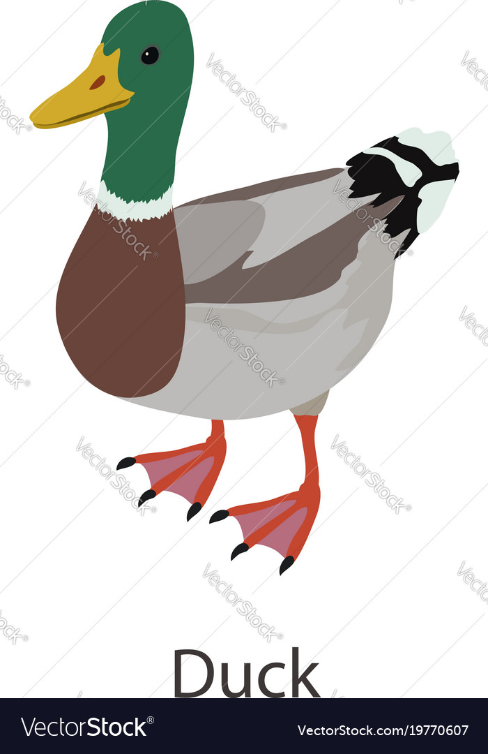 Duck icon isometric style vector image