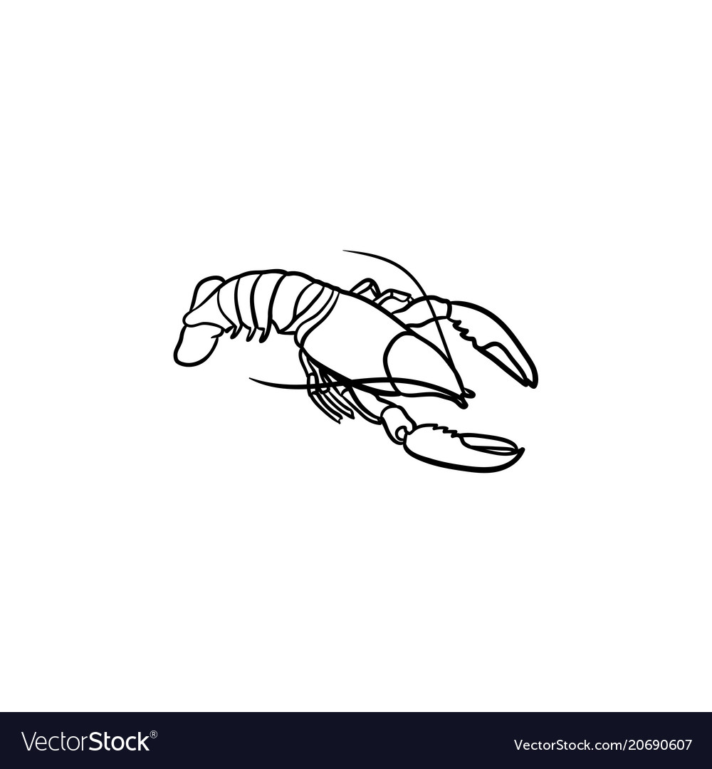 Lobster hand drawn sketch icon Royalty Free Vector Image