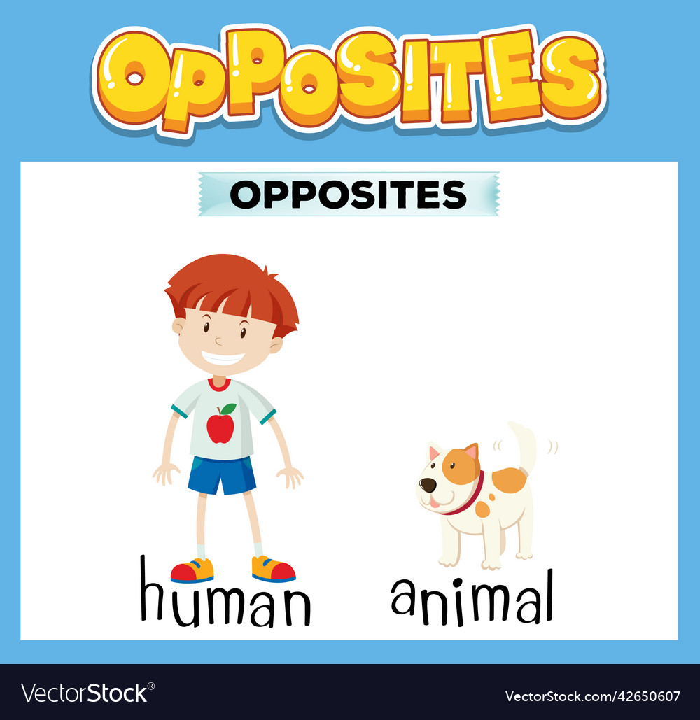 Opposite english words with human and animal Vector Image