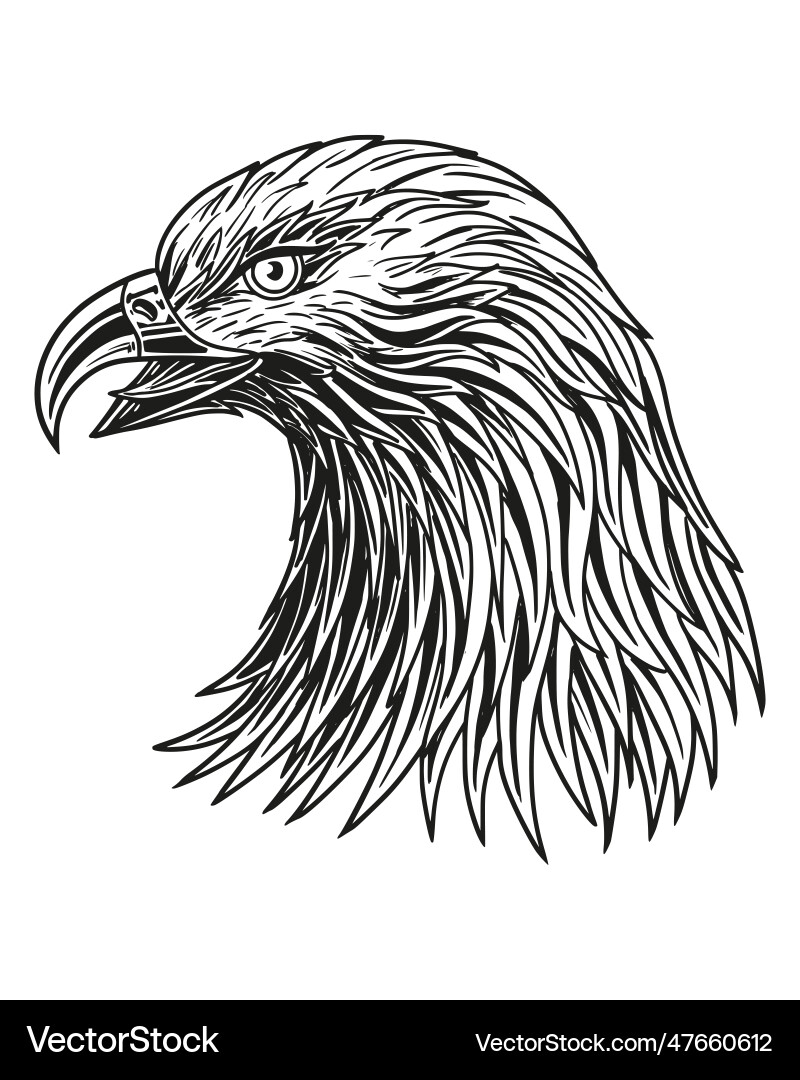 Eagle head emblem Royalty Free Vector Image - VectorStock
