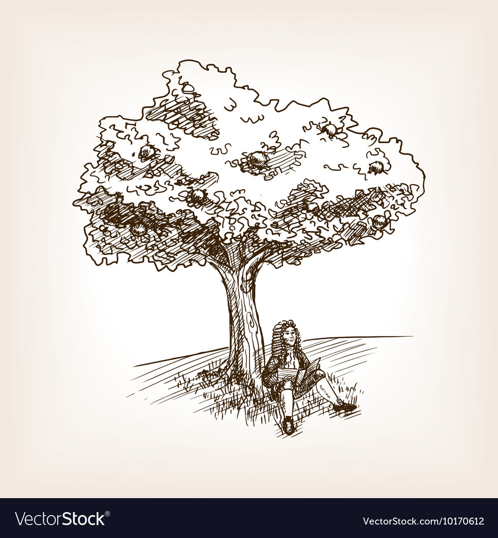 Medieval Scientist Apple Tree Sketch Royalty Free Vector