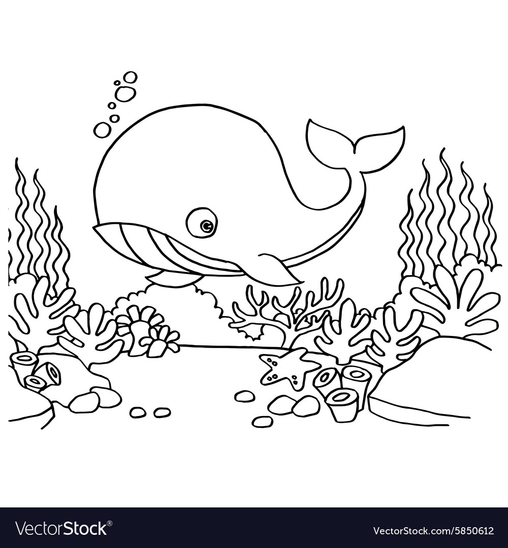 Whale Coloring Pages - healthpointdirectory.com