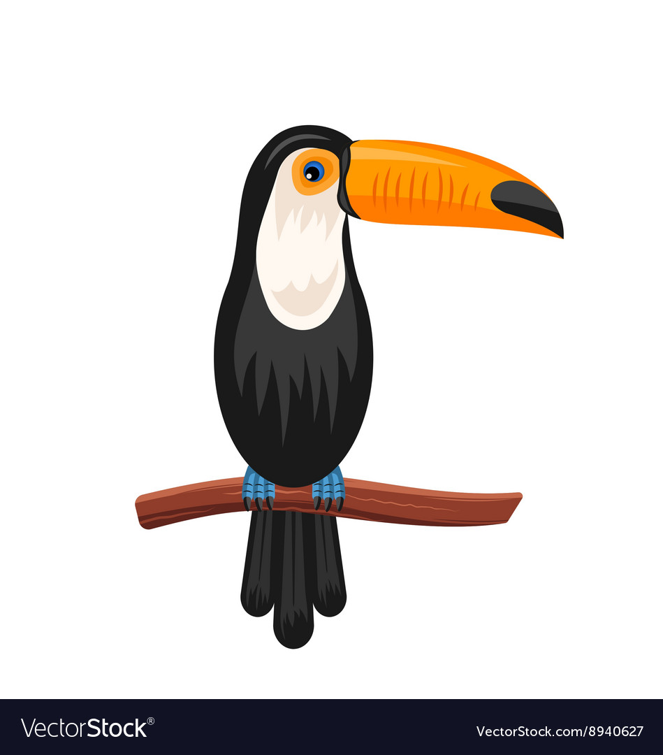 Funny toucan sitting on branch exotic bird Vector Image