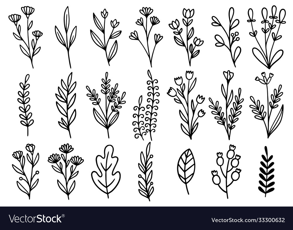 0182 hand drawn flowers doodle Royalty Free Vector Image