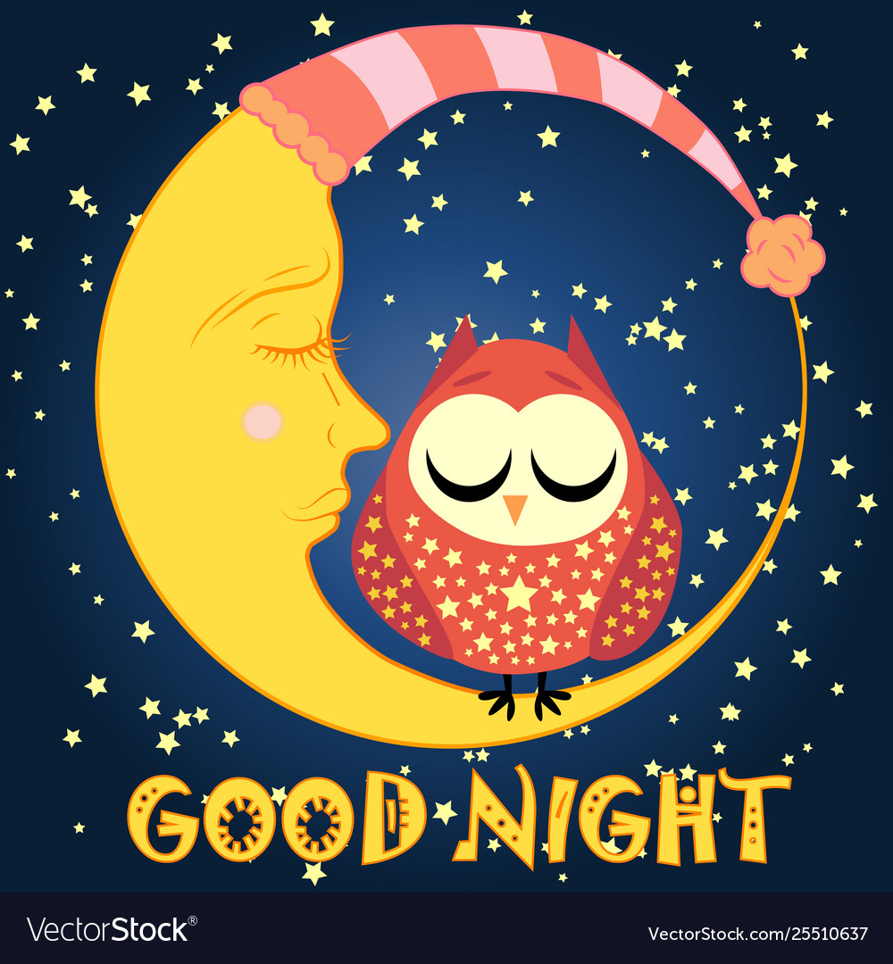 Good night card with sleeping moon and cute owl Vector Image