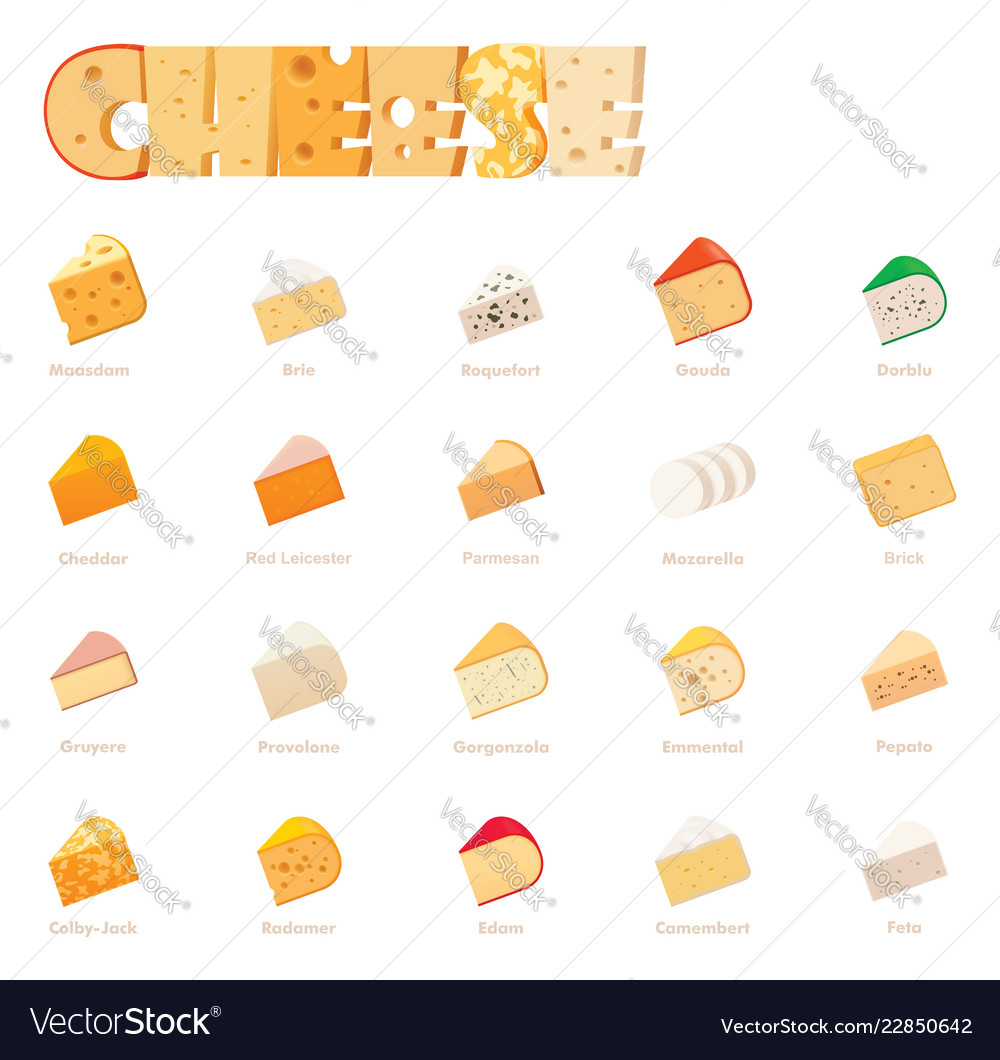 Cheese types icon set Royalty Free Vector Image