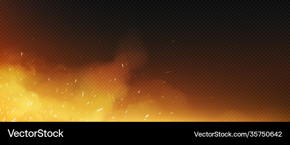 Fire sparks with smoke and flying up particles Vector Image