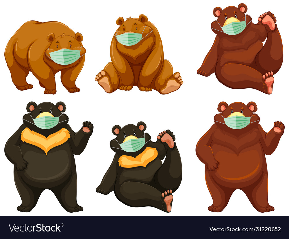 Wild bear cartoon charater wearing mask Royalty Free Vector Wild bear cartoon charater wearing mask Royalty Free Vector
