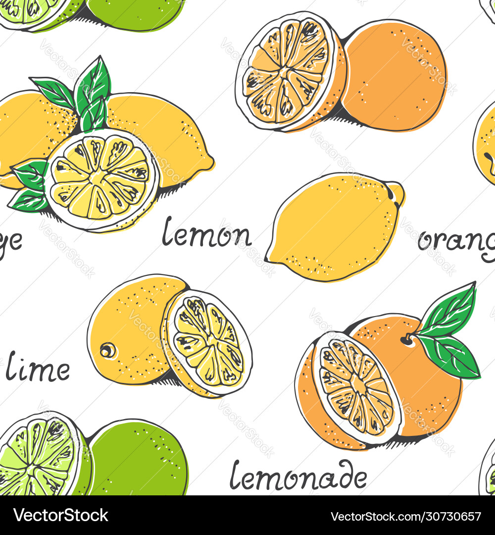 Lemons and oranges fruit seamless pattern hand Vector Image
