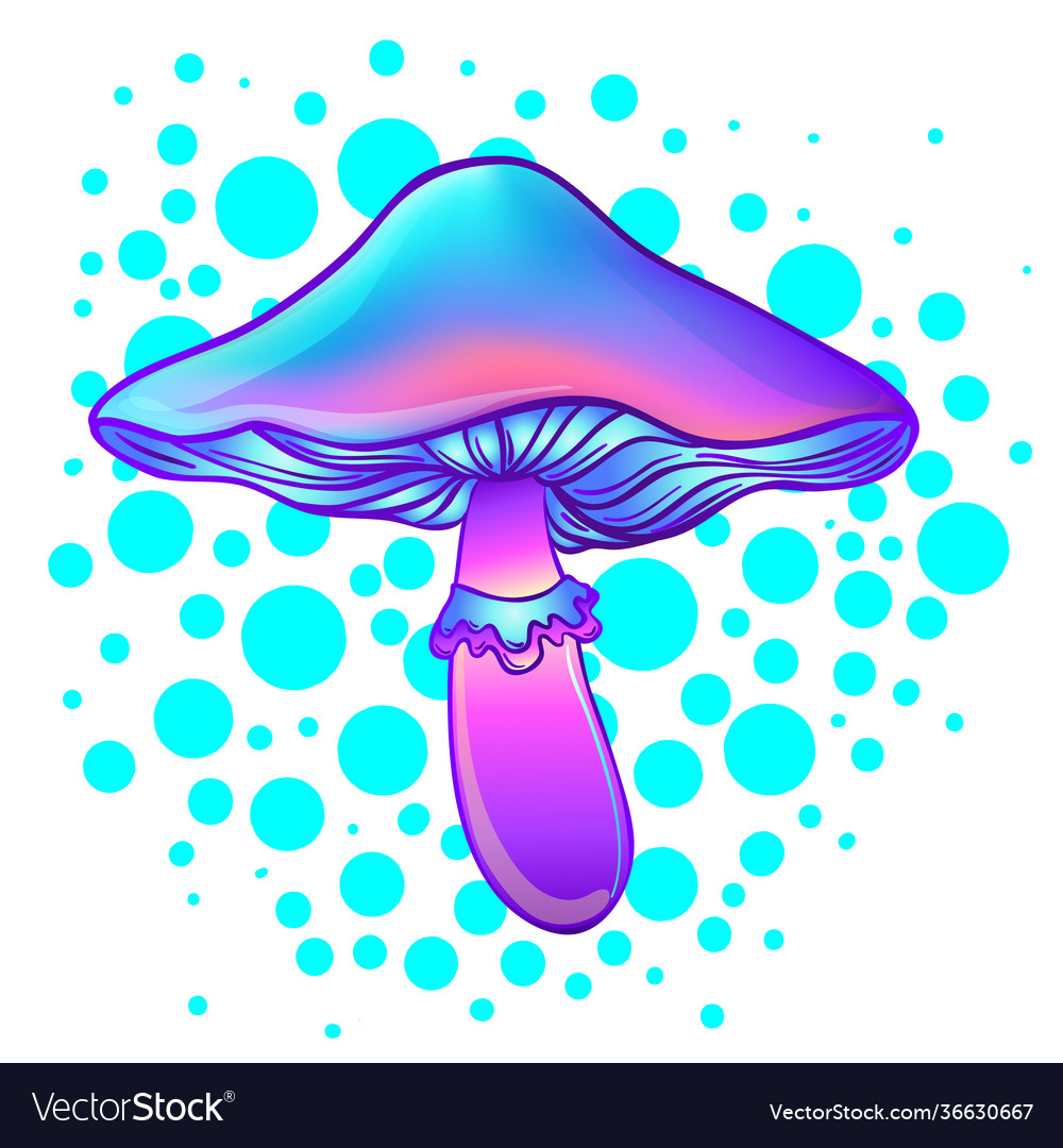 Magic mushrooms psychedelic hallucination Vector Image