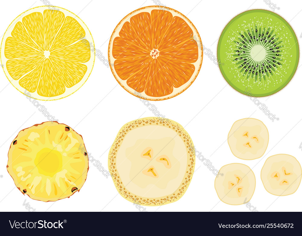 Collection fruit cuts Royalty Free Vector Image