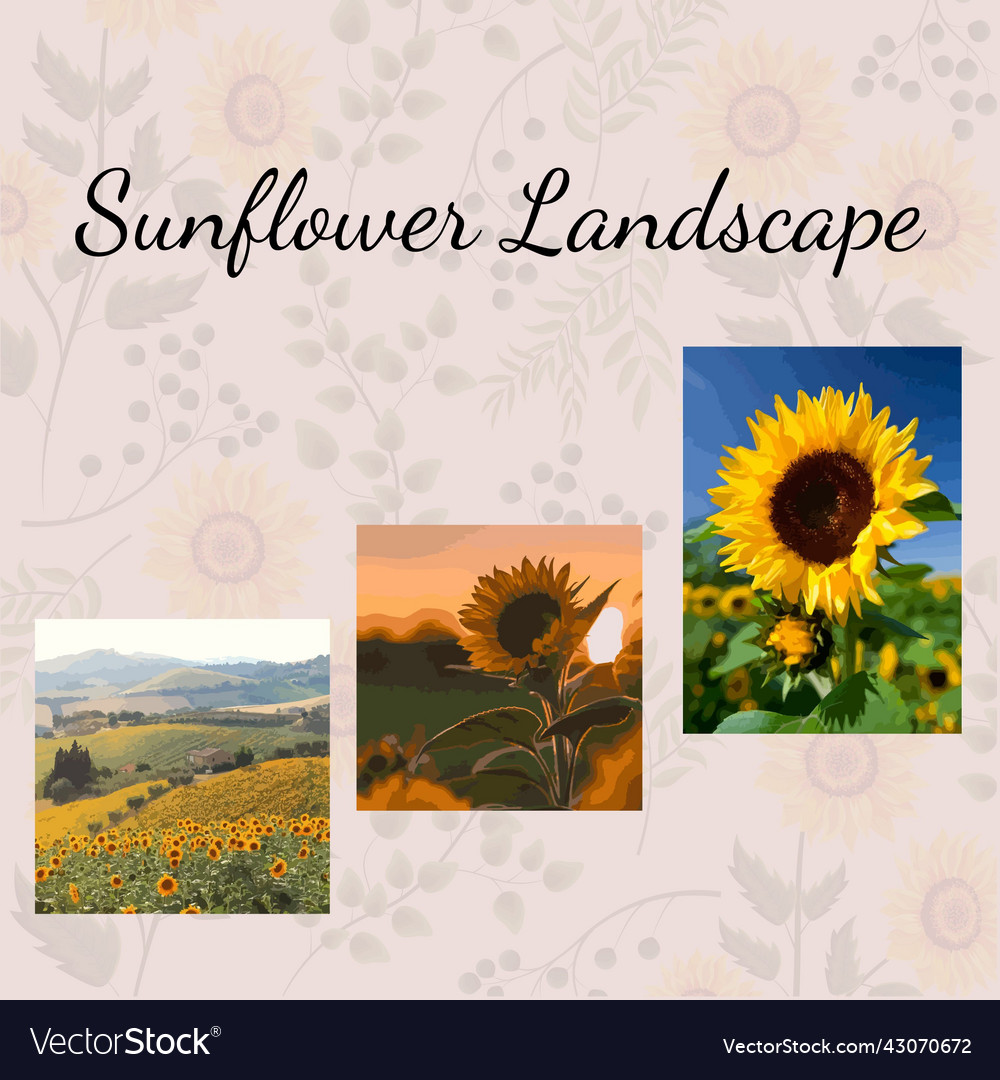 Sunflower landscape