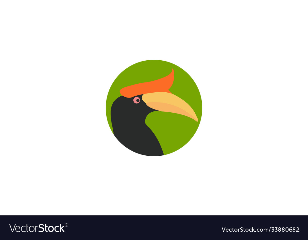 Abstract bird hornbill head colorful logo design