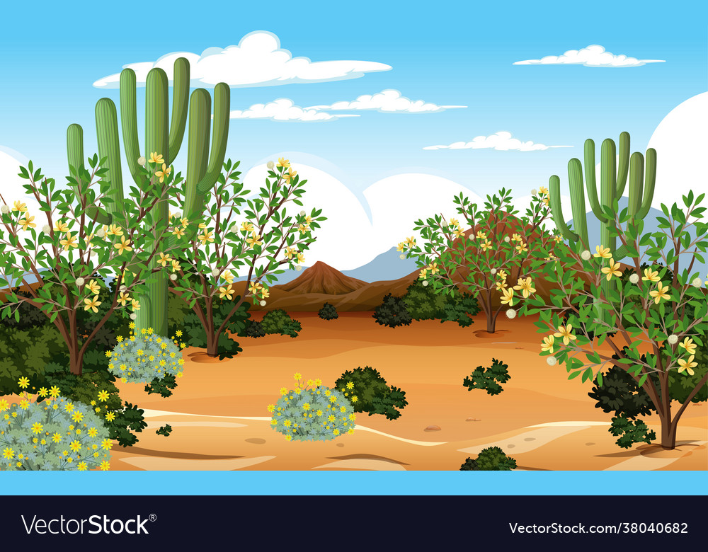 Desert forest landscape at daytime scene Vector Image