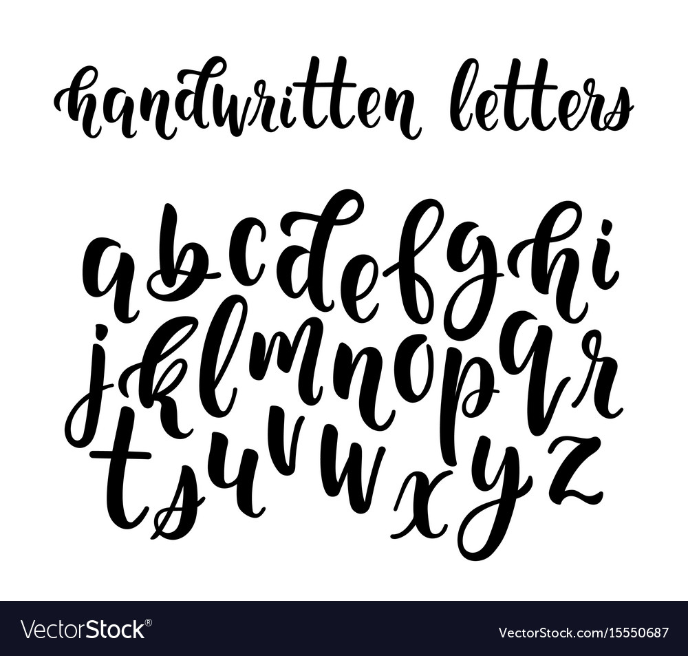 Handwritten latin calligraphy brush script of Vector Image