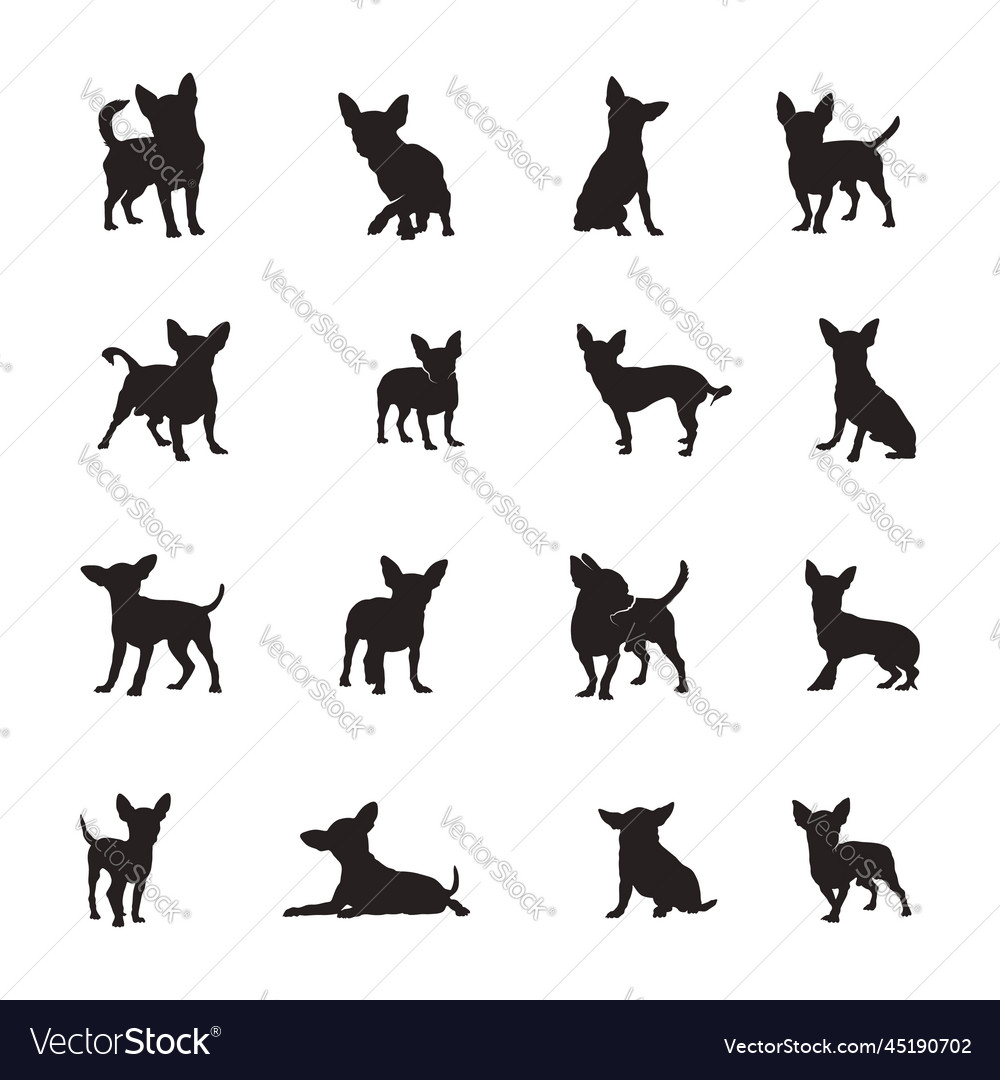 Chihuahua dog silhouetteschihuahua Royalty Free Vector Image