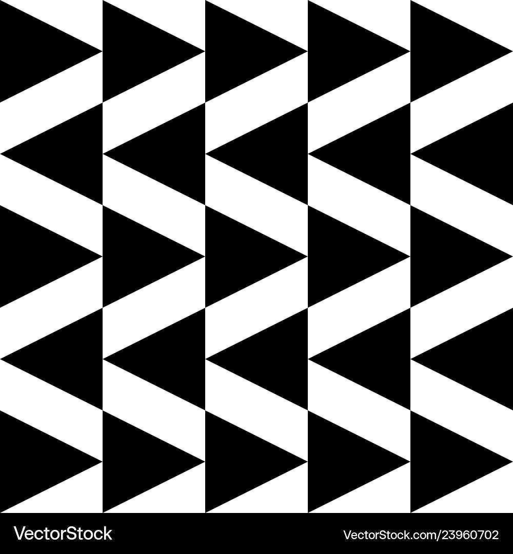 Geometric pattern in black and white style Vector Image