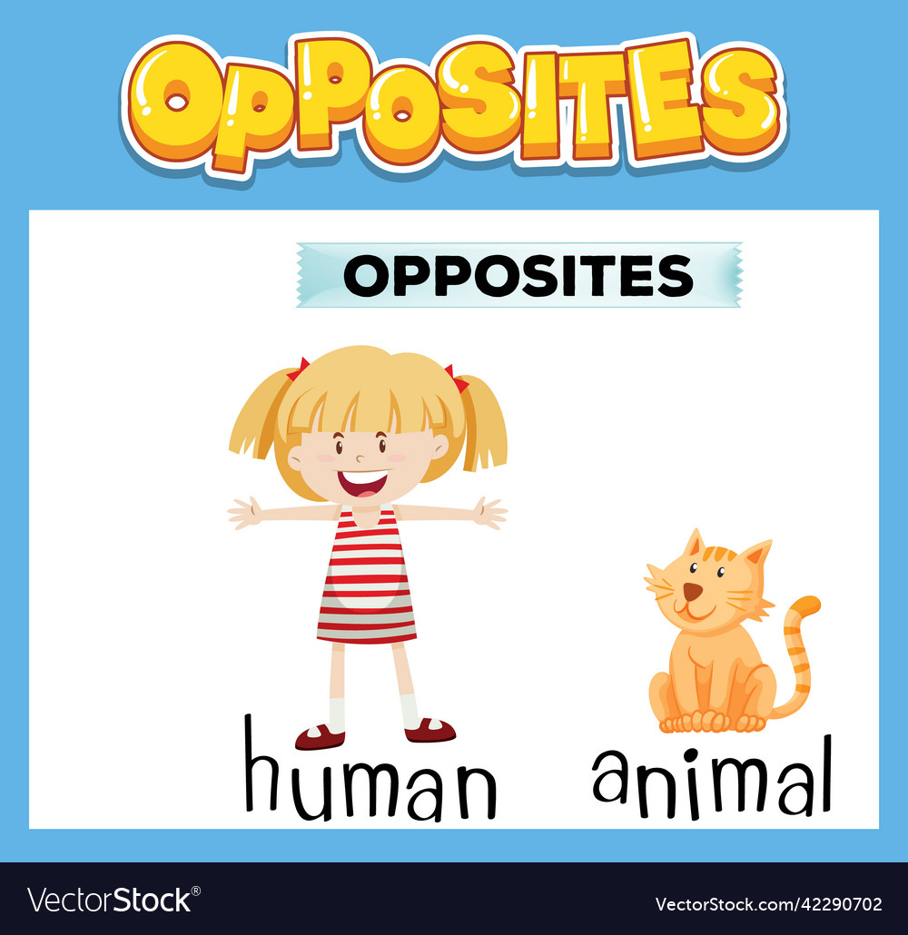 Opposite english words for kids Royalty Free Vector Image