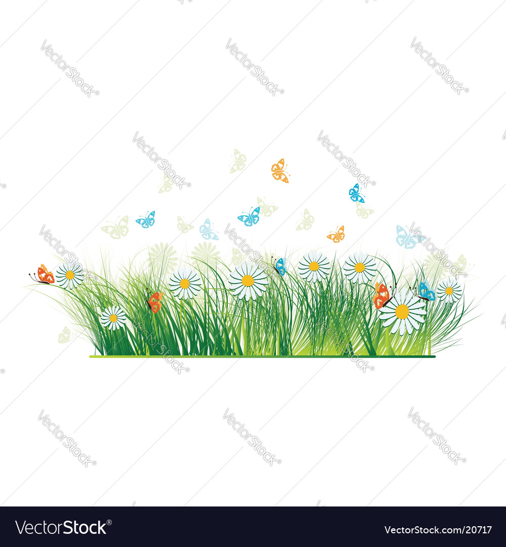 Butterflies Royalty Free Vector Image - VectorStock