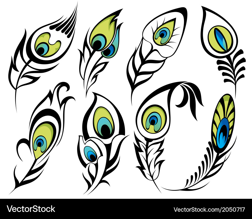 Feathers Royalty Free Vector Image - VectorStock