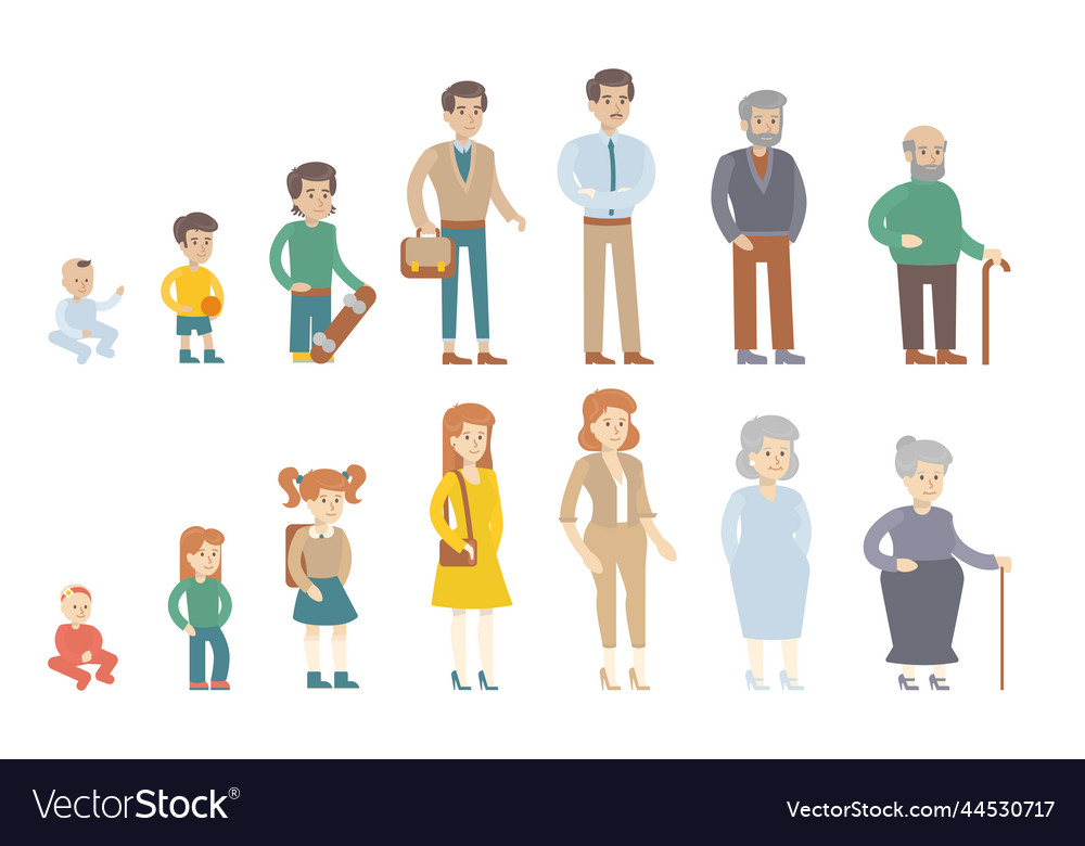 Human age evolution Royalty Free Vector Image - VectorStock