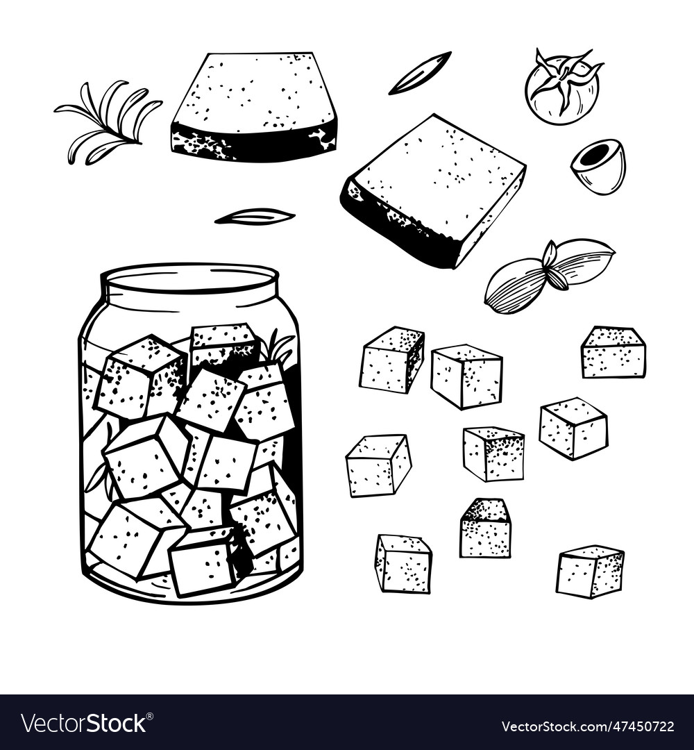 Chees feta sketch Royalty Free Vector Image - VectorStock