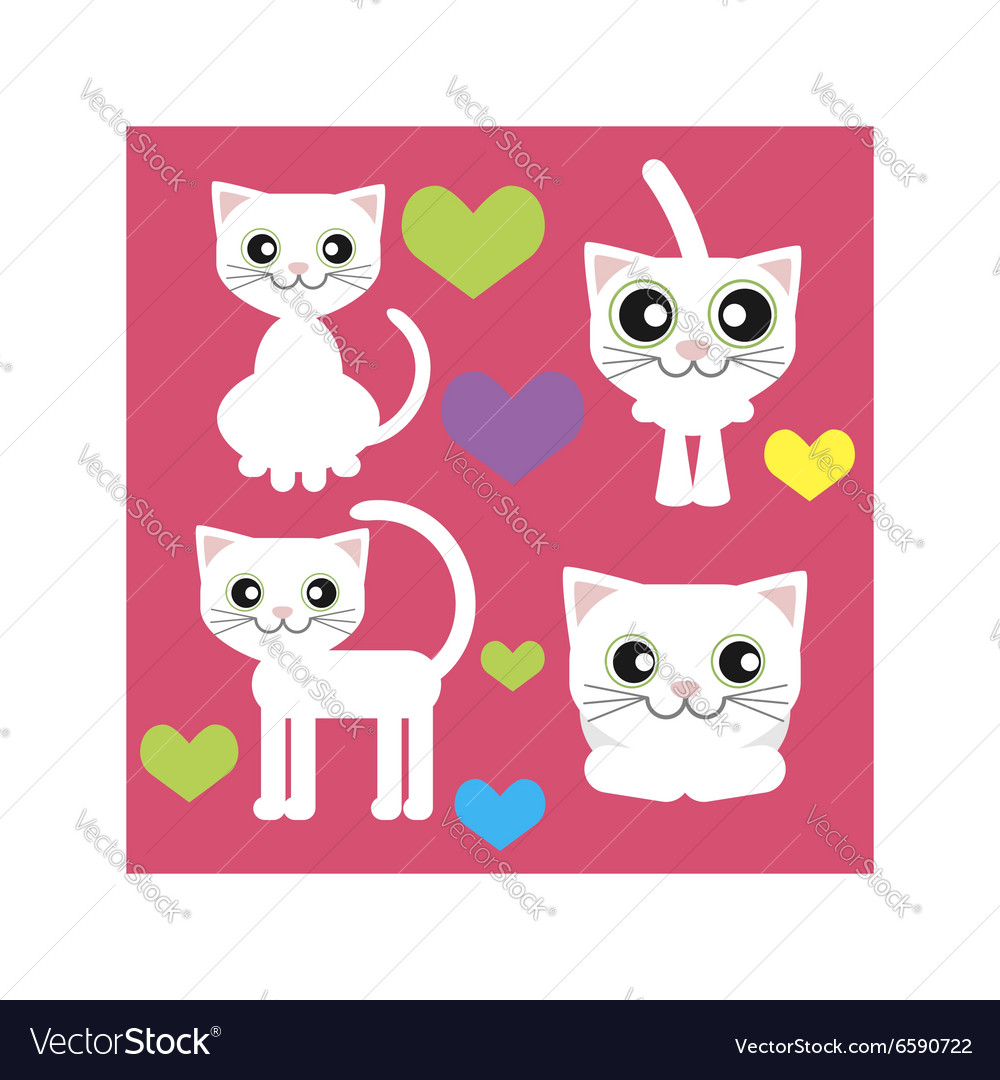 White cat sits stands lies and love