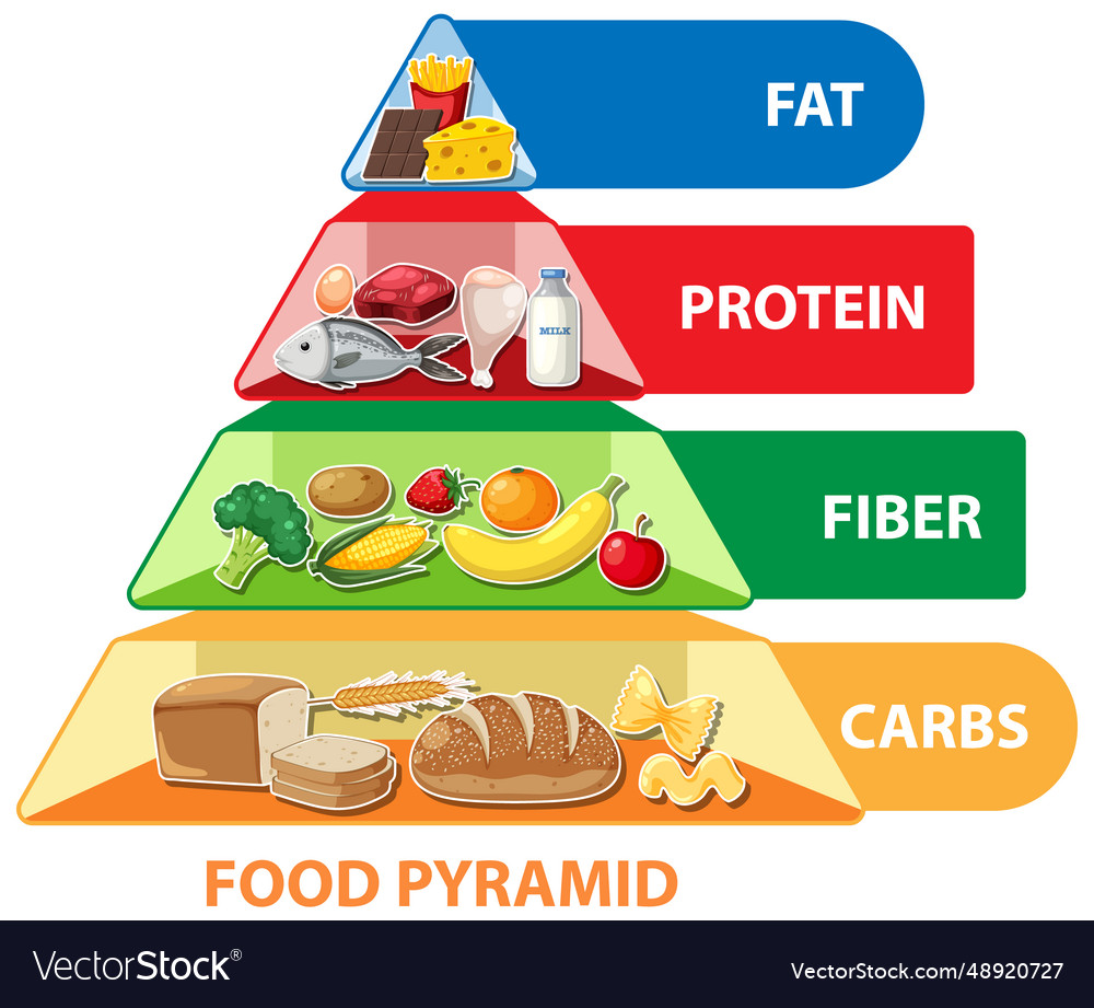 Cartoon Food Pyramid Infographic A Visual Guide Vector Image