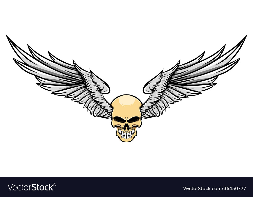 Danger human skull with long feather wings Vector Image