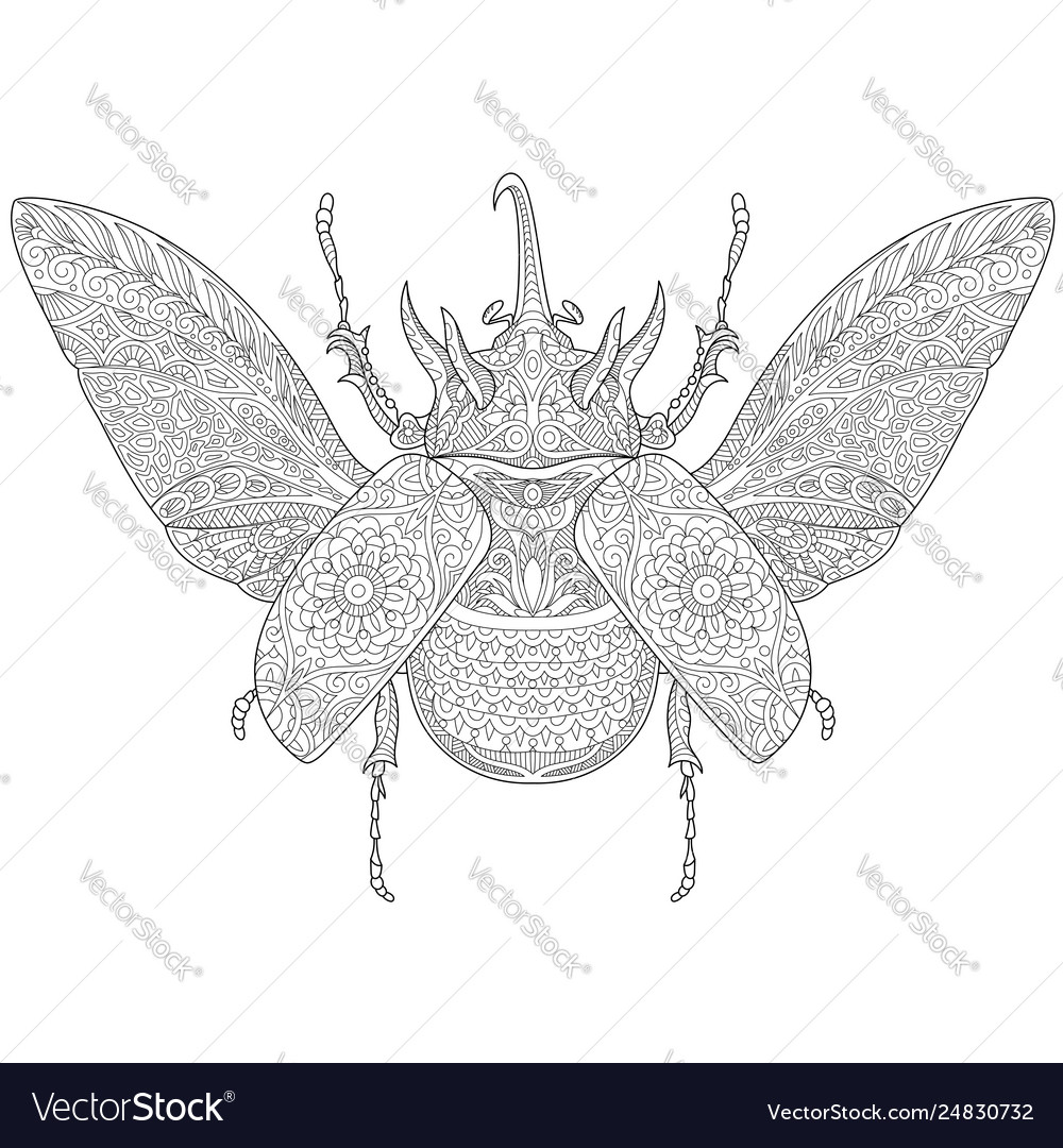 Rhinoceros Beetle Adult Coloring Page Royalty Free Vector