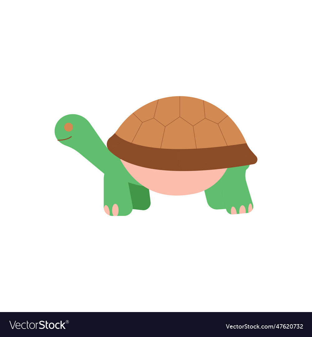 Tortoise Royalty Free Vector Image - Vectorstock