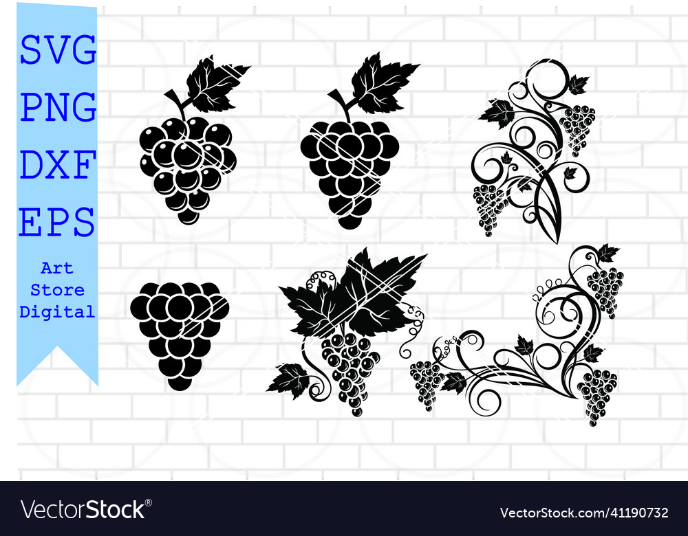 Vine svg set grape leaves fruit Royalty Free Vector Image