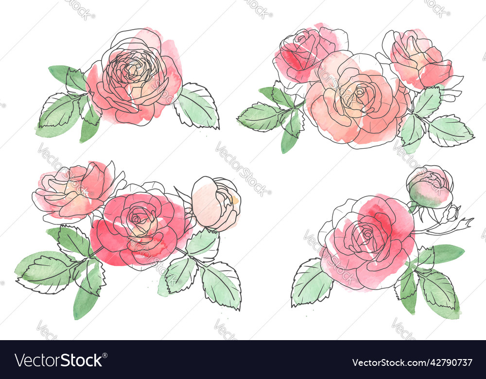 Watercolor loose line art rose flower bouquet vector image Watercolor loose line art rose flower bouquet