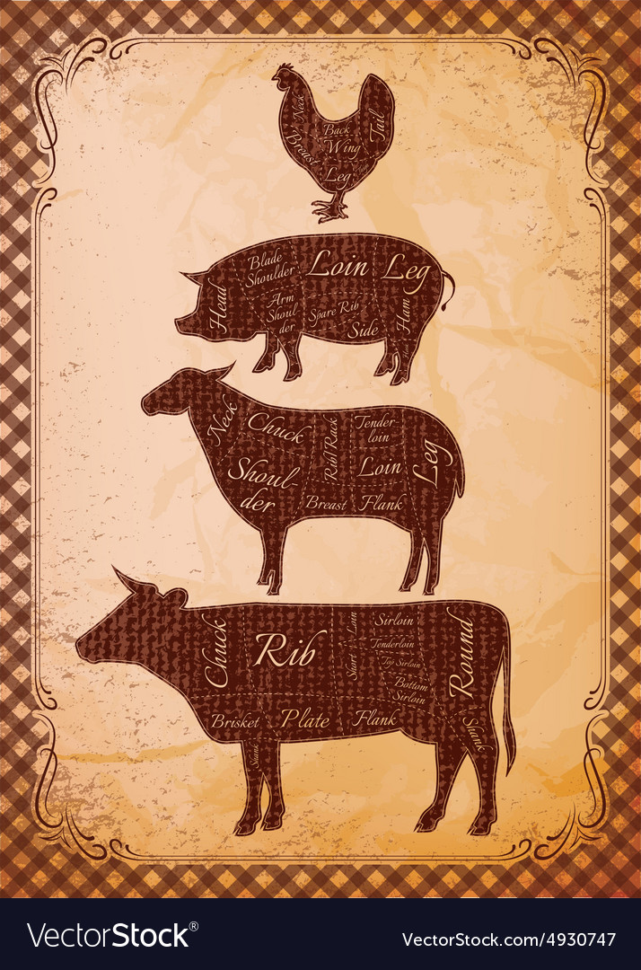 Diagram Cut Carcasses Chicken Pig Cow Lamb Vector Image