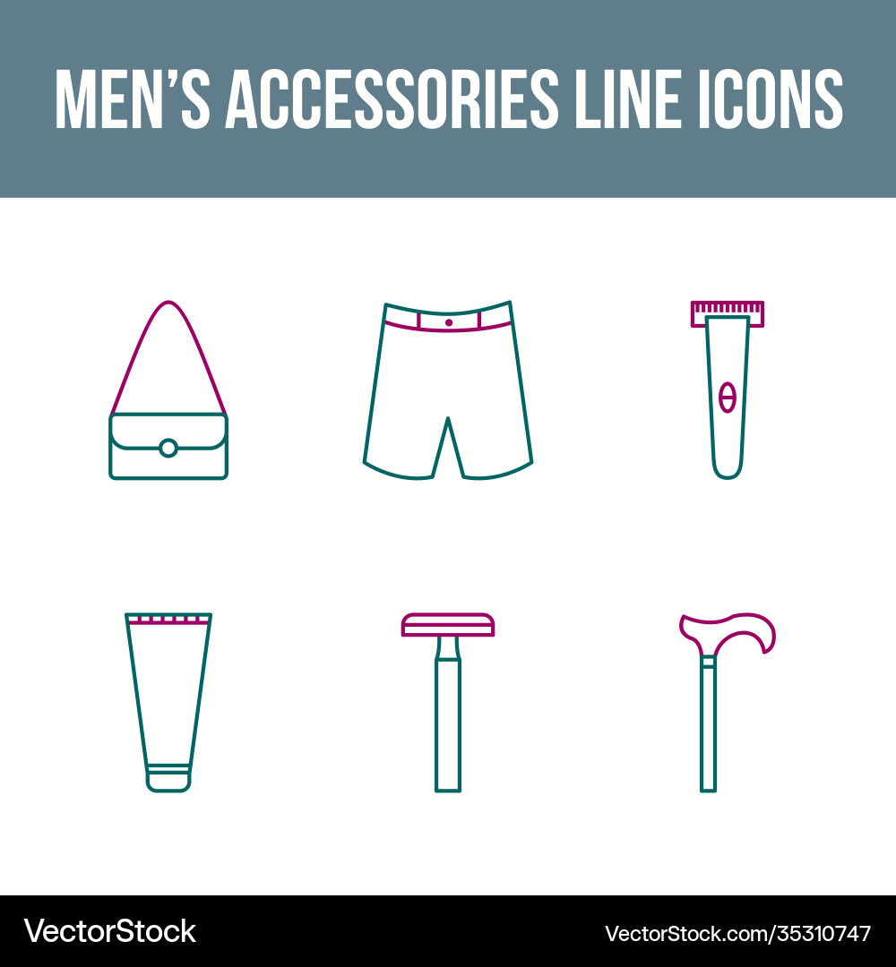 Mens accessories icon set Royalty Free Vector Image