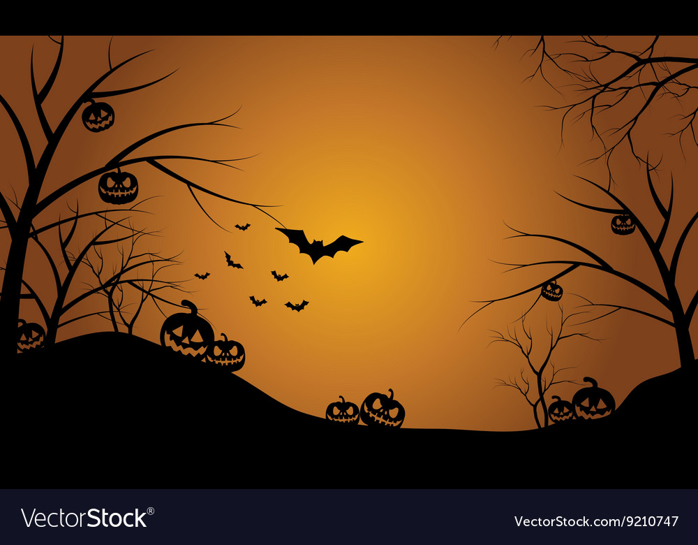 pumpkins in hills scenery